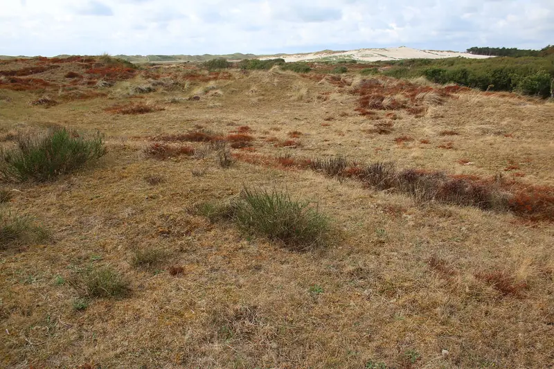 Noordhollands Duinreservaat