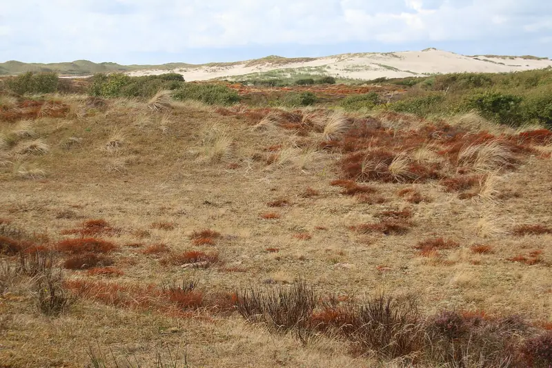 Noordhollands Duinreservaat