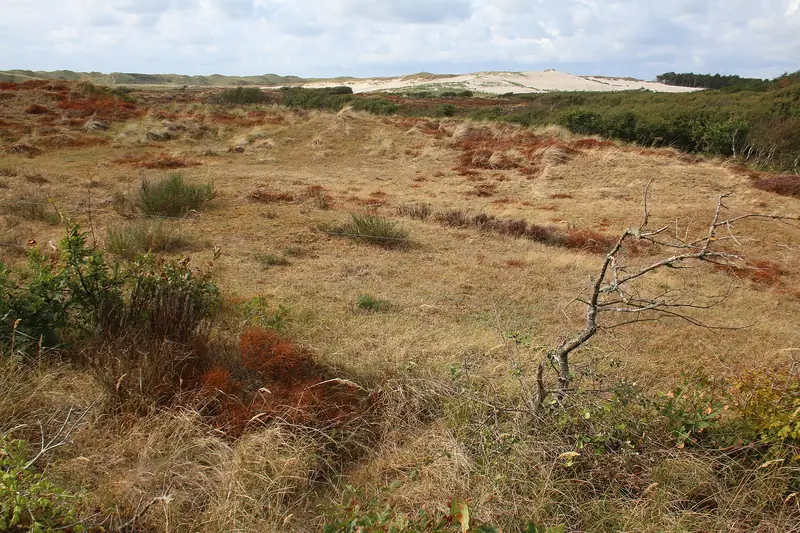 Noordhollands Duinreservaat