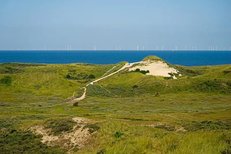 Beach crossing De Hoge Toren in the North Holland Dune Reserve