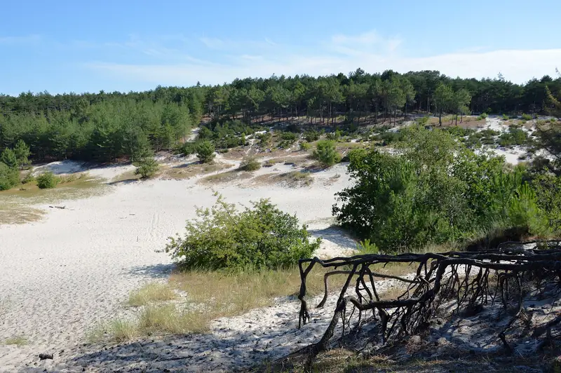 Speelkuil, Schoorlse Duinen, 2022