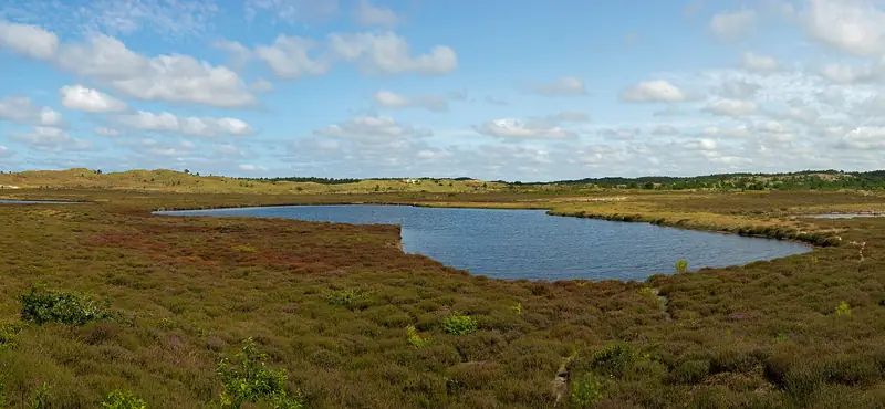 Dune Lake in the Schoorl Dunes