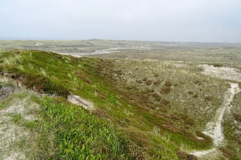 Schoorlsche Duinen