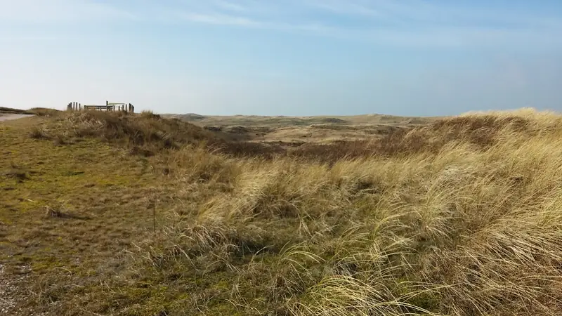 Duinen bij het Zwanenmeer.