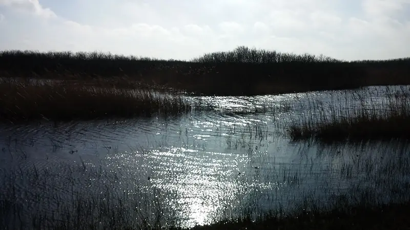 Ondergelopen duinen bij het Zwanenwater.