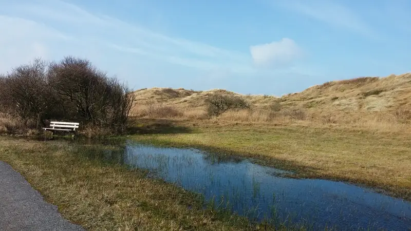 Bankje bij het Zwanenwater.